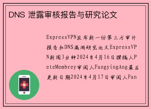 DNS 泄露审核报告与研究论文 