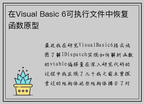 在Visual Basic 6可执行文件中恢复函数原型 